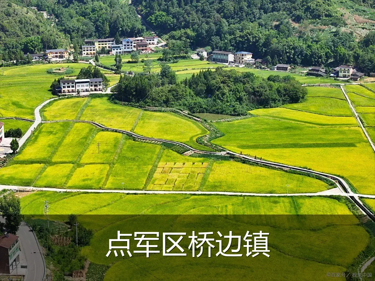 点军区桥边镇